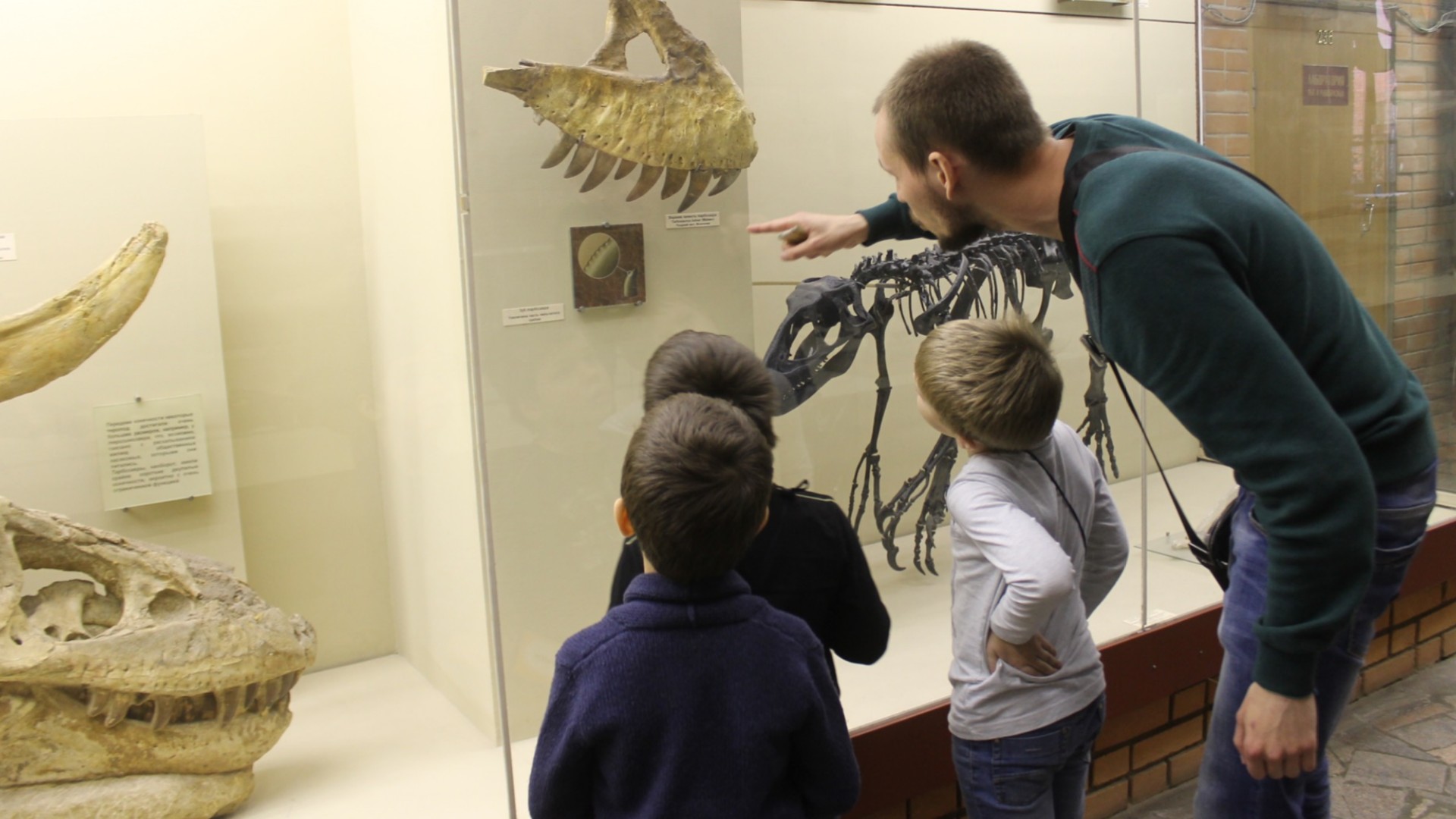 Экскурсия для детей 5 - 6 лет в Палеонтологическом музее (Москва)