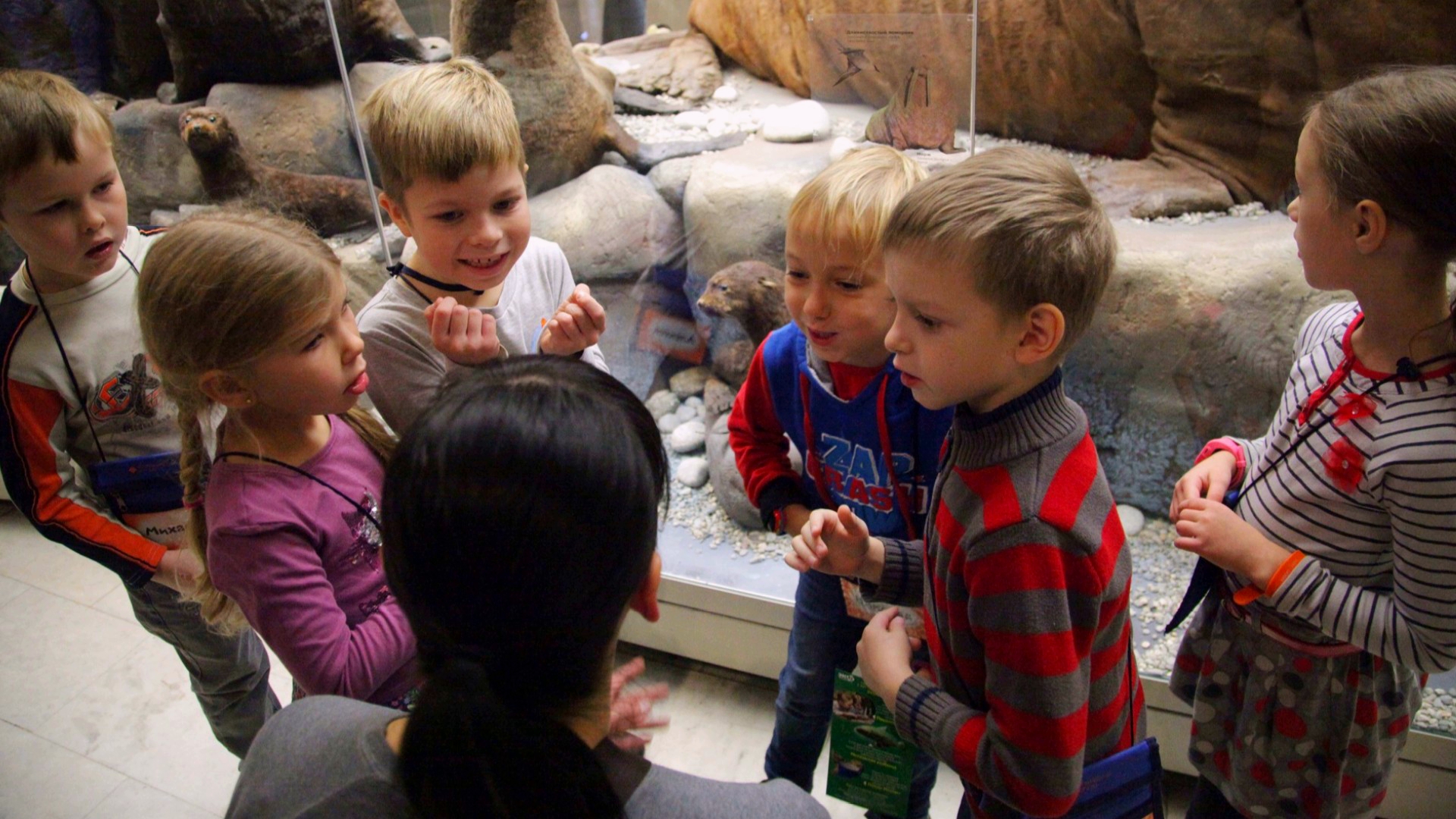 Экскурсия для детей 5 - 6 лет в Дарвиновском музее (Москва)